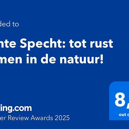 Bonte Specht: Tot Rust Komen In De Natuur! Otterlo Dış mekan fotoğraf