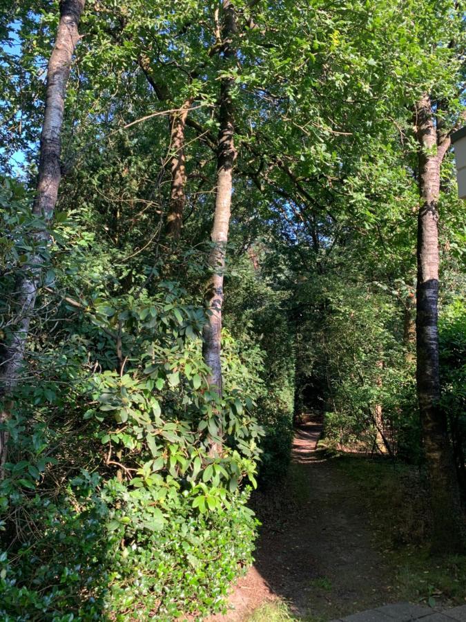Bonte Specht: Tot Rust Komen In De Natuur! Otterlo Dış mekan fotoğraf