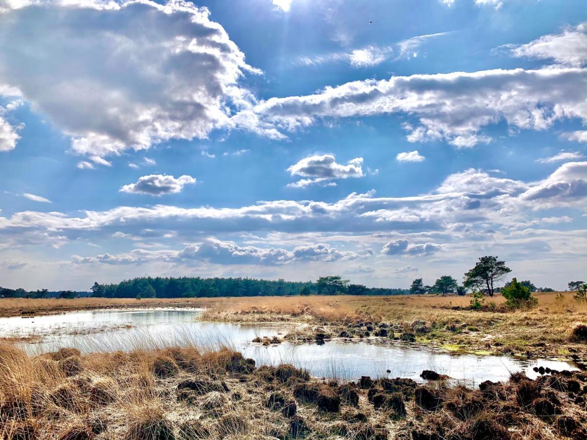 Bonte Specht: Tot Rust Komen In De Natuur! Otterlo Dış mekan fotoğraf